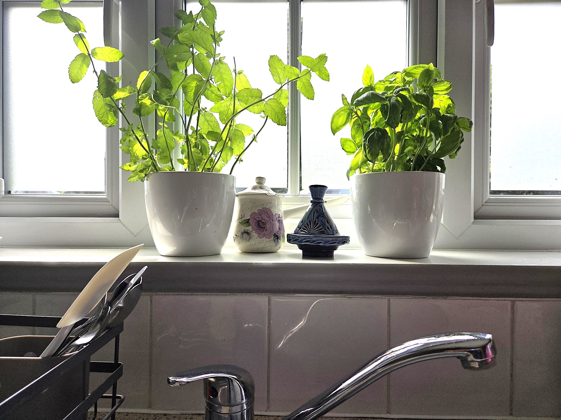 Bright clean modern kitchen